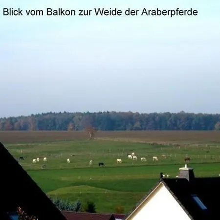 In Hauptmannsgruen Daire *